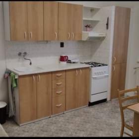 Pronájem, byt 1+1, 56 m2 / 19643026