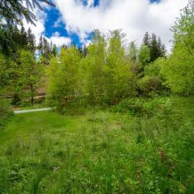 Fotka k inzerátu Prodej, Pozemky pro bydlení, 1200 m2 / 19096433