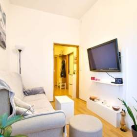 Fotka k inzerátu Pronájem, byt 1+1, 43 m2 / 18246566