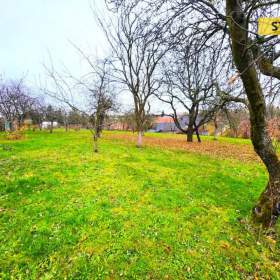 Prodej, Zahrady, 1169 m2 / 19651772