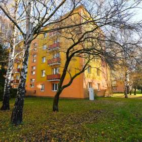 Foto inzerátu Prodej, byt 3+1, 63 m2