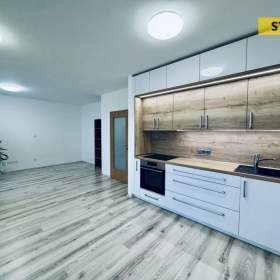 Pronájem, byt 1+kk, 55 m2 / 19662982