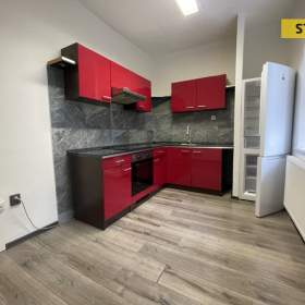 Pronájem, byt 1+1, 50 m2 / 19663009