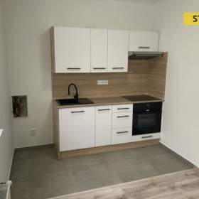 Pronájem, byt 1+kk, 25 m2 / 19666134