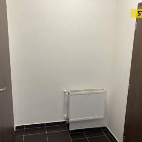 Foto inzerátu Pronájem, byt 1+kk, 47 m2