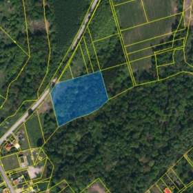 Fotka k inzerátu Prodej, Pozemky zemědělské a lesní, 9465 m2 / 19608768