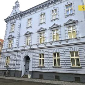 Pronájem, byt 1+1, 55 m2 / 19676824