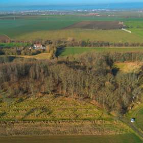 Fotka k inzerátu Prodej, Pozemky pro bydlení, 2696 m2 / 19153374