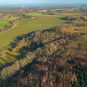 Foto inzerátu Prodej, Pozemky pro bydlení, 2696 m2