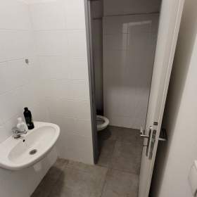 Foto inzerátu Pronájem, prodejny, 254 m2