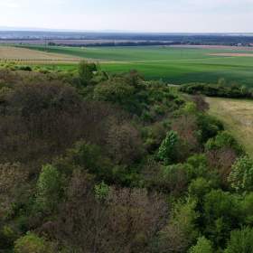 Foto inzerátu Prodej