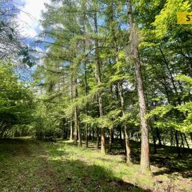 Foto inzerátu Prodej, Pozemky zemědělské a lesní, 16440 m2