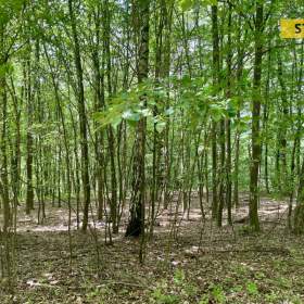 Foto inzerátu Prodej, Pozemky zemědělské a lesní, 16440 m2