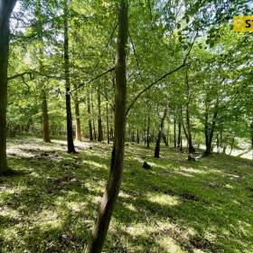 Foto inzerátu Prodej, Pozemky zemědělské a lesní, 16440 m2