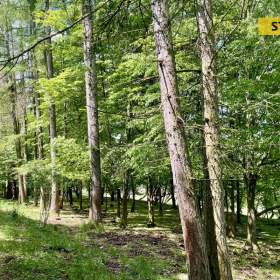 Foto inzerátu Prodej, Pozemky zemědělské a lesní, 16440 m2