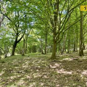 Foto inzerátu Prodej, Pozemky zemědělské a lesní, 16440 m2