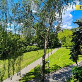 Foto inzerátu Prodej, byt 2+1, 58 m2