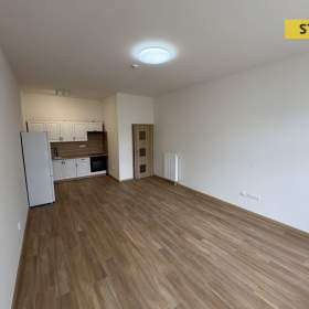 Foto inzerátu Pronájem, byt 1+kk, 47 m2