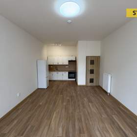 Foto inzerátu Pronájem, byt 1+kk, 47 m2