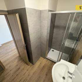 Foto inzerátu Pronájem, byt 1+kk, 47 m2