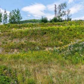 Foto inzerátu Prodej, Pozemky pro bydlení, 1275 m2