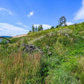 Foto inzerátu Prodej, Pozemky pro bydlení, 1275 m2