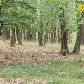 Prodej, Pozemky zemědělské a lesní, 2723 m2 / 19913172