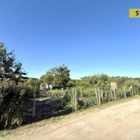 Foto inzerátu Prodej, Zahrady, 261 m2