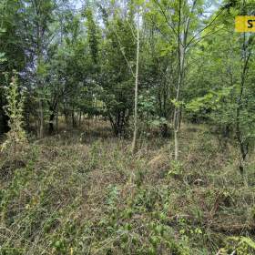 Foto inzerátu Prodej, Pozemky pro bydlení, 5732 m2
