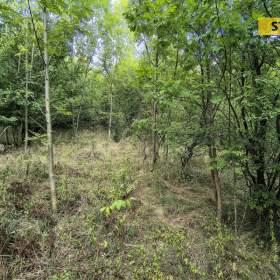 Foto inzerátu Prodej, Pozemky pro bydlení, 5732 m2