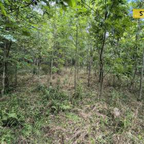 Foto inzerátu Prodej, Pozemky pro bydlení, 5732 m2