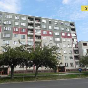 Fotka k inzerátu Prodej, byt 2+1, 42 m2 / 19963151
