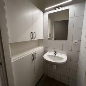 Foto inzerátu Pronájem, byt 3+kk, 104 m2