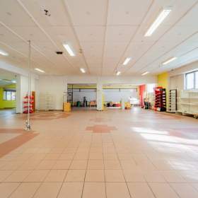 Foto inzerátu Prodej, prodejny, 450 m2