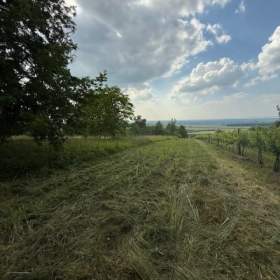 Foto inzerátu Prodej, Zahrady, 3628 m2