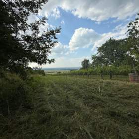 Foto inzerátu Prodej, Zahrady, 3628 m2