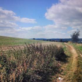 Foto inzerátu Prodej, Pozemky zemědělské a lesní, 5780 m2