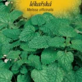 Meduňka lékařská (semena) www. levna- semena. cz / 11329397