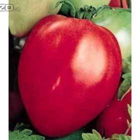 Rajče- Býčí Srdce: Semena /www. levna- semena. cz / 11760234