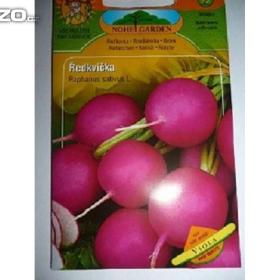 Řekvička- Viola: Semena /www. levna- semena. cz / 11777763