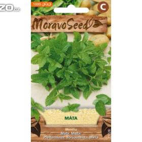 Máta peprná (semena) www. levna- semena. cz / 11797125