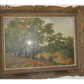 Fotka k inzerátu Obraz / 19301022