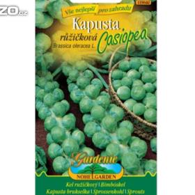 Kapusta růžičková - Casiopea /www. levna- semena. cz / 12506755