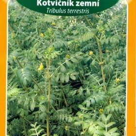 Fotka k inzerátu Kotvičník zemní (semena) www. rostliny- prozdravi. cz / 12721592