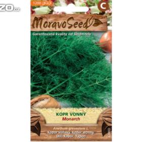 Kopr vonný -  Monarch /semena:  www. levna- semena. cz / 13028782