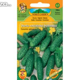 Okurka nakládačka, Regina (semena)www. rostliny- prozdravi. cz / 14406095