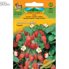 Jahodník měsíční (semena) www. rostliny- prozdravi. cz / 14614528
