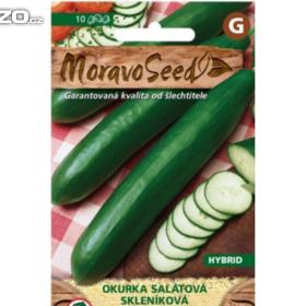 Okurka salátová, Saturn (semena) levna- semena. cz / 14724898