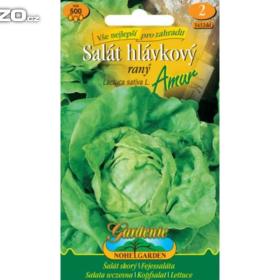 Salát raný, hlávkový -  Amur /www. levna- semena. cz / 15302081