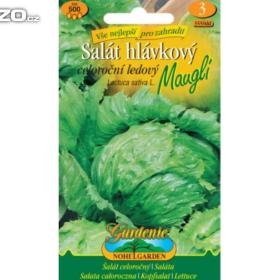 Salát celeroční, ledový, hlávkový -  Maugli / www. levna- semena. cz / 15302246